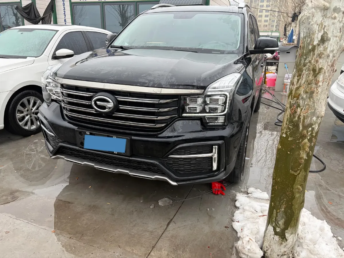 2020 GAC Trumpchi GS8 2.0T 252HP L4 6AT,autocango,china used car exporter,china ev exporter,chinese used car exporter,chinese used ev exporter