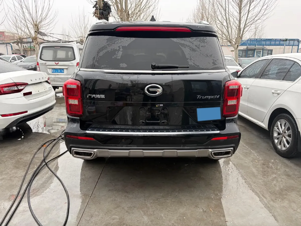 2020 GAC Trumpchi GS8 2.0T 252HP L4 6AT,autocango,china used car exporter,china ev exporter,chinese used car exporter,chinese used ev exporter