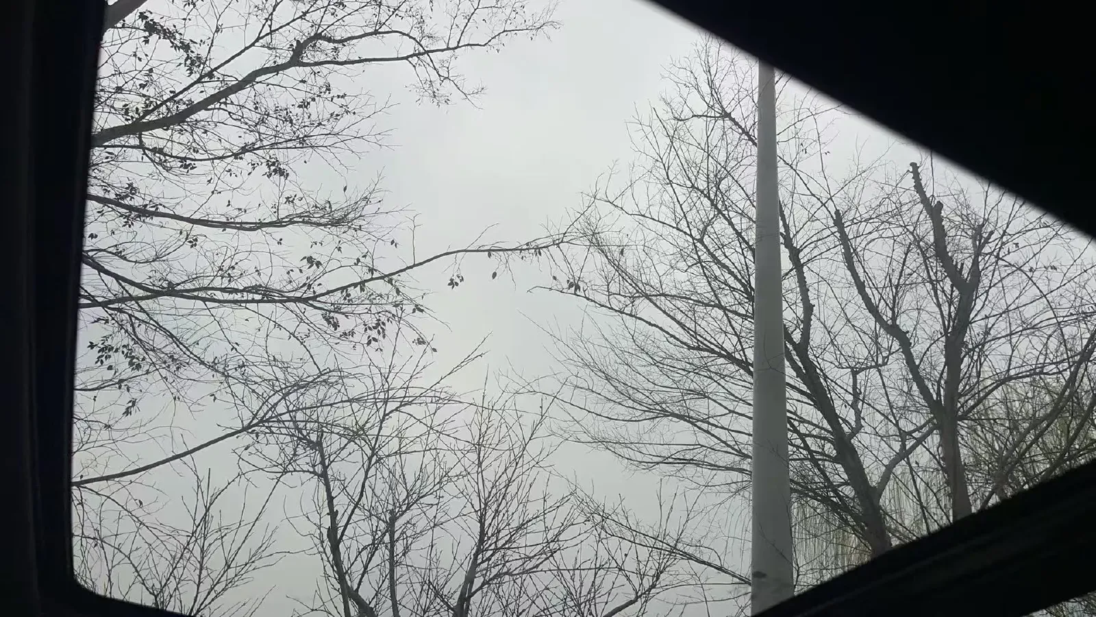 2021 Cadillac XT5 2.0T 237HP L4 9AT,autocango,china used car exporter,china ev exporter,chinese used car exporter,chinese used ev exporter