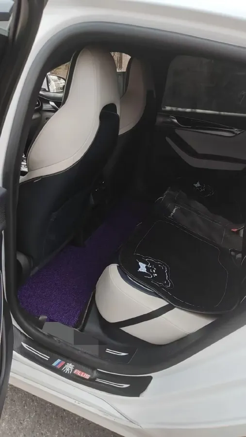 2021 DongFeng FuKang e Elysee BEV 30.7KWH,autocango,china used car exporter,china ev exporter,chinese used car exporter,chinese used ev exporter