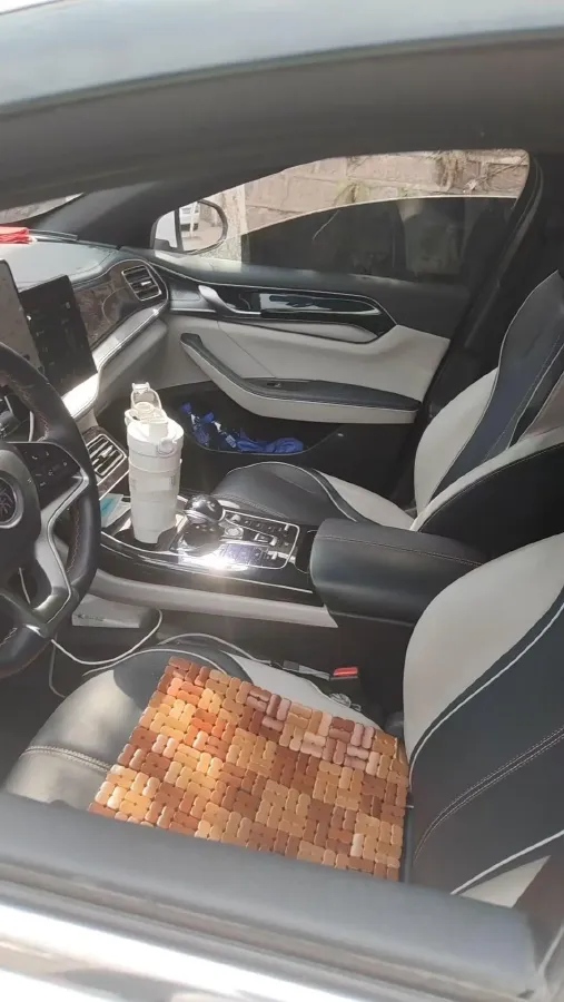 2021 DongFeng FuKang e Elysee BEV 30.7KWH,autocango,china used car exporter,china ev exporter,chinese used car exporter,chinese used ev exporter