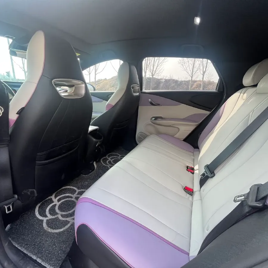 2021 BYD Yuan Pro BEV 50.1KWH,autocango,china used car exporter,china ev exporter,chinese used car exporter,chinese used ev exporter