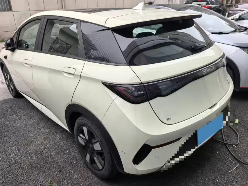 2025 BYD Dolphin BEV 45.12KWH,autocango,china used car exporter,china ev exporter,chinese used car exporter,chinese used ev exporter