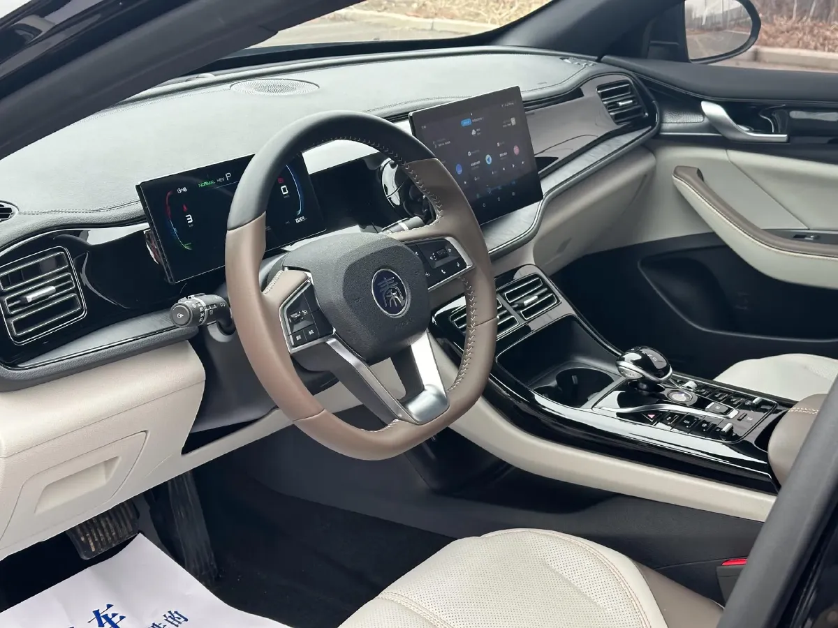 2024 BYD Qin Plus 1.5L 110HP L4 E-CVT PHEV 8.32KWH,autocango,china used car exporter,china ev exporter,chinese used car exporter,chinese used ev exporter