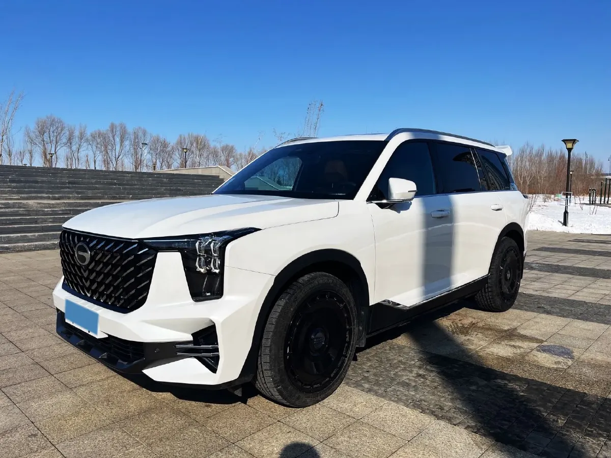 2024 GAC Trumpchi GS8 2.0T 252HP L4 8AT,autocango,china used car exporter,china ev exporter,chinese used car exporter,chinese used ev exporter