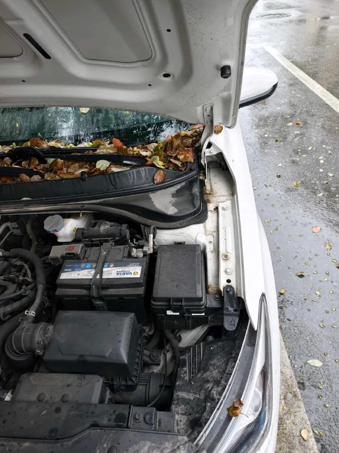 2020 Hyundai Celesta 1.6L 123HP L4 6AT,autocango,china used car exporter,china ev exporter,chinese used car exporter,chinese used ev exporter