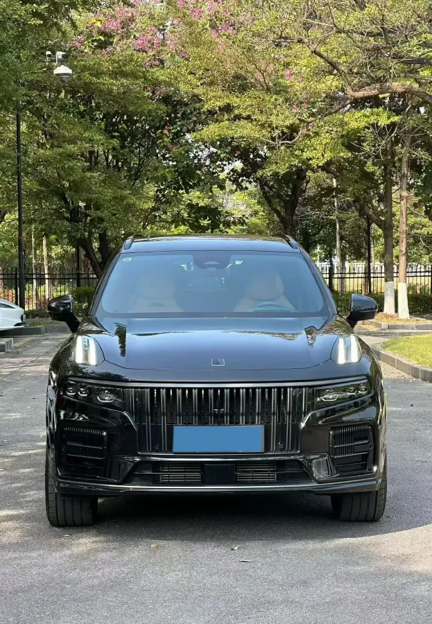 2021 LYNK&CO 09 EM-P 2.0T 254HP L4 8AT PHEV 18.83KWH,autocango,china used car exporter,china ev exporter,chinese used car exporter,chinese used ev exporter