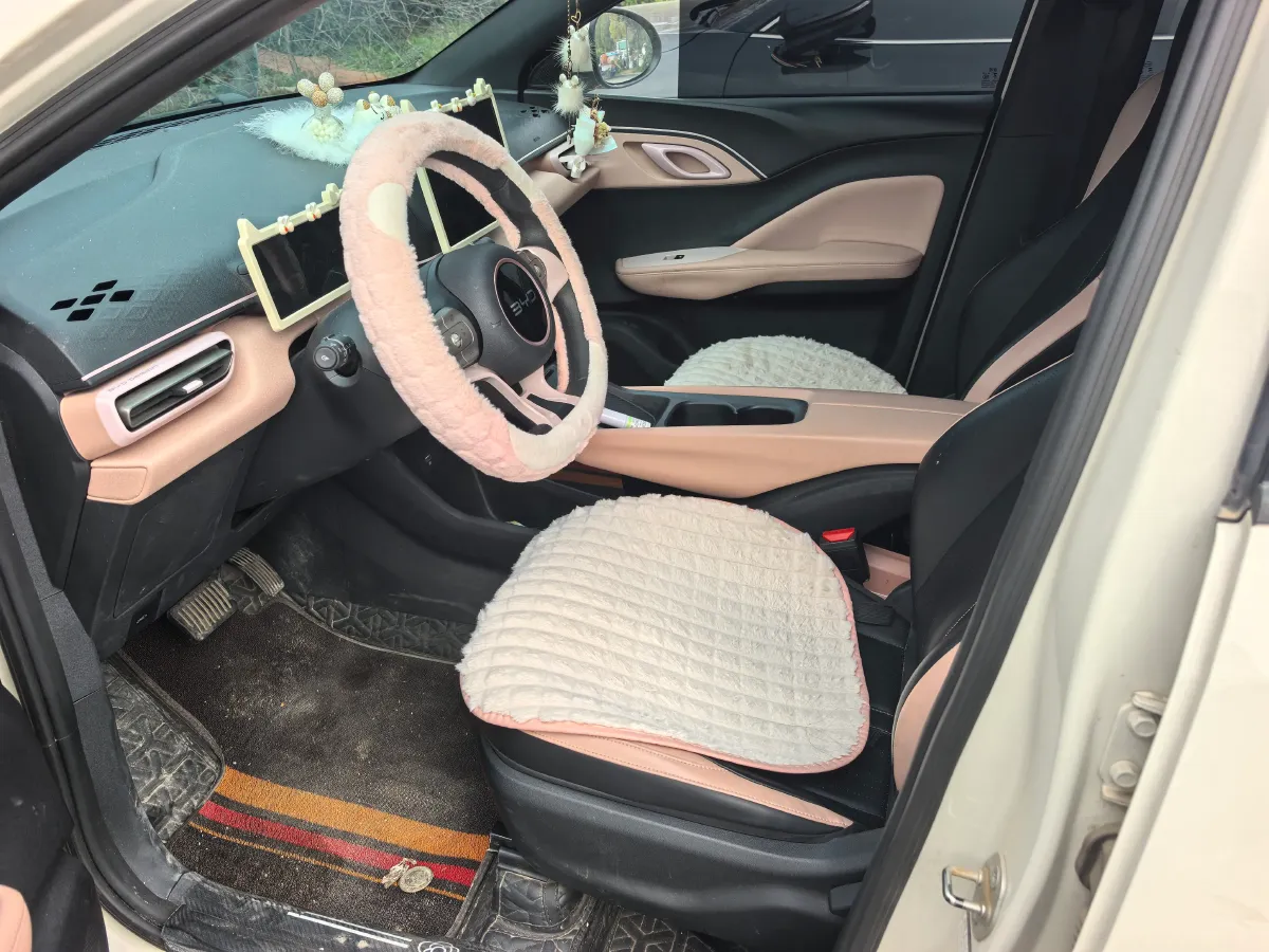 2024 BYD Seagull BEV 30.08KWH,autocango,china used car exporter,china ev exporter,chinese used car exporter,chinese used ev exporter