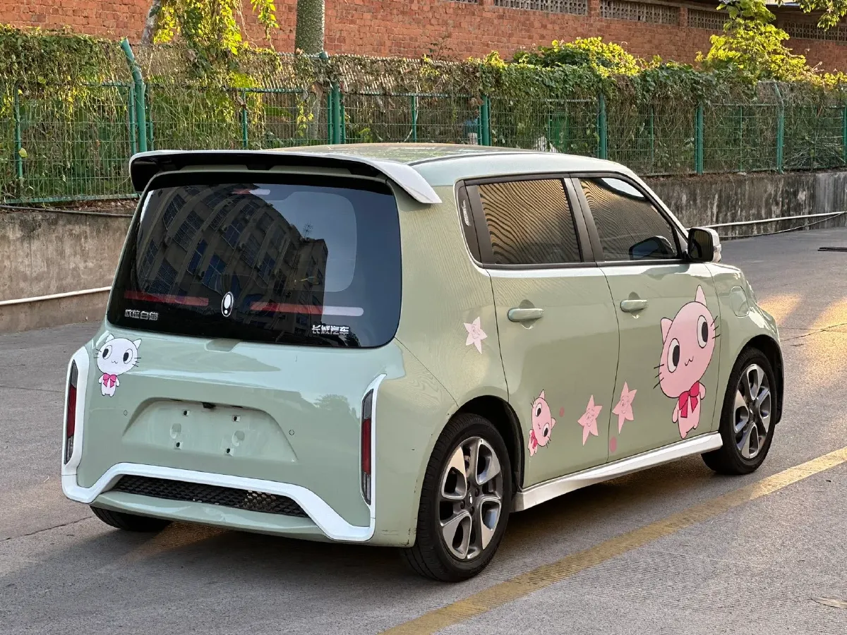 2020 Ora WhiteCat BEV 36KWH,autocango,china used car exporter,china ev exporter,chinese used car exporter,chinese used ev exporter