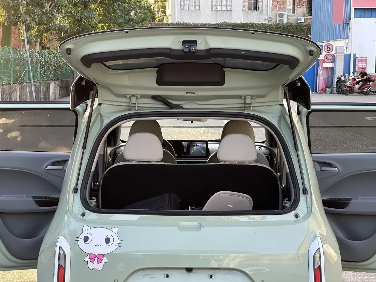 2020 Ora WhiteCat BEV 36KWH,autocango,china used car exporter,china ev exporter,chinese used car exporter,chinese used ev exporter