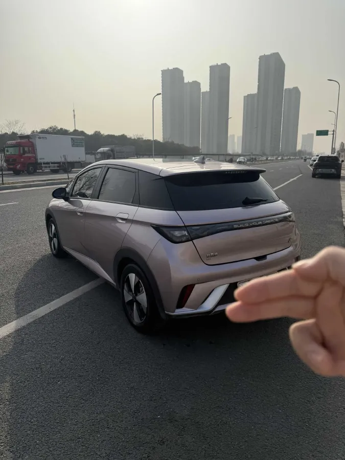 2023 BYD Dolphin BEV 44.928KWH,autocango,china used car exporter,china ev exporter,chinese used car exporter,chinese used ev exporter