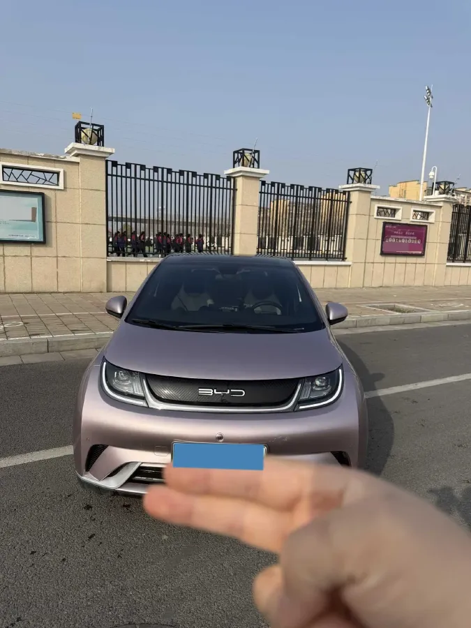 2023 BYD Dolphin BEV 44.928KWH,autocango,china used car exporter,china ev exporter,chinese used car exporter,chinese used ev exporter