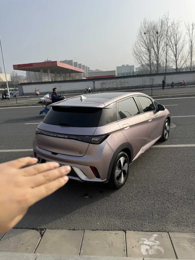2023 BYD Dolphin BEV 44.928KWH,autocango,china used car exporter,china ev exporter,chinese used car exporter,chinese used ev exporter