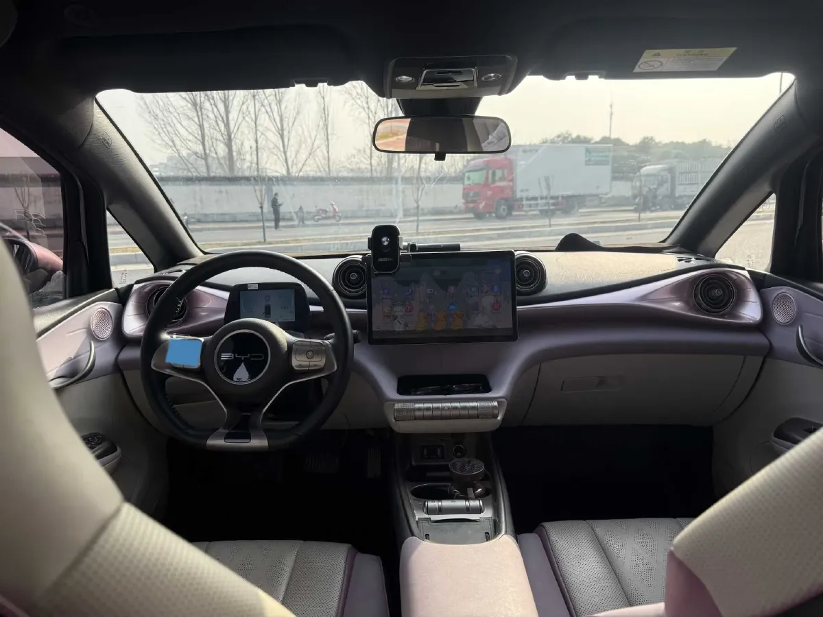 2023 BYD Dolphin BEV 44.928KWH,autocango,china used car exporter,china ev exporter,chinese used car exporter,chinese used ev exporter