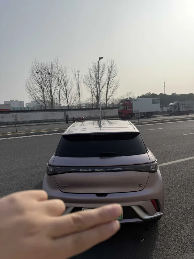 2023 BYD Dolphin BEV 44.928KWH,autocango,china used car exporter,china ev exporter,chinese used car exporter,chinese used ev exporter