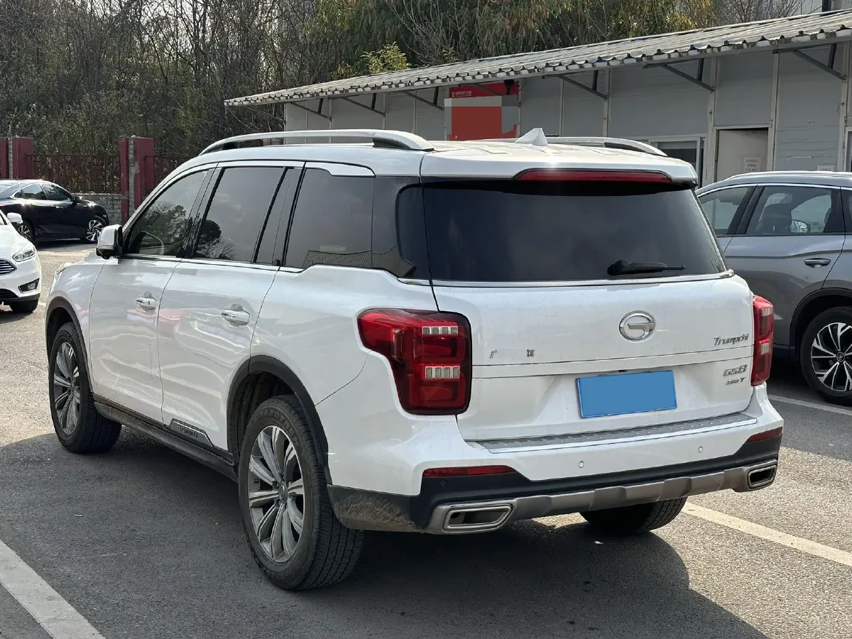 2020 GAC Trumpchi GS8 2.0T 252HP L4 6AT,autocango,china used car exporter,china ev exporter,chinese used car exporter,chinese used ev exporter