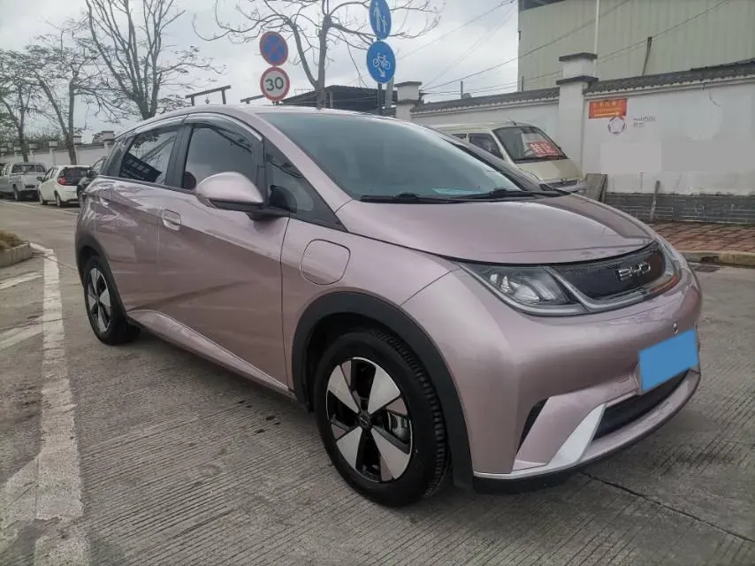 2023 BYD Dolphin BEV 44.928KWH,autocango,china used car exporter,china ev exporter,chinese used car exporter,chinese used ev exporter