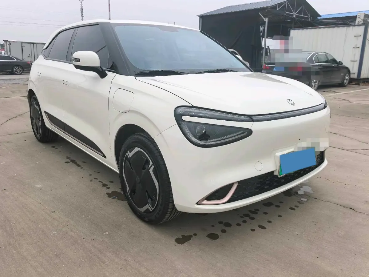 2024 DongFeng eπ 01 BEV 31.45KWH,autocango,china used car exporter,china ev exporter,chinese used car exporter,chinese used ev exporter