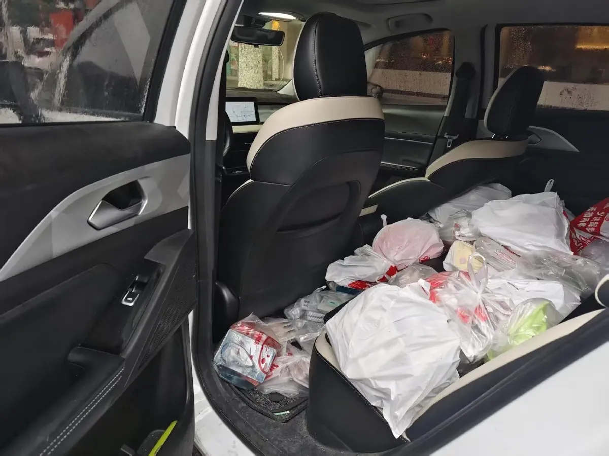 2023 Geometry E BEV 39.4KWH,autocango,china used car exporter,china ev exporter,chinese used car exporter,chinese used ev exporter