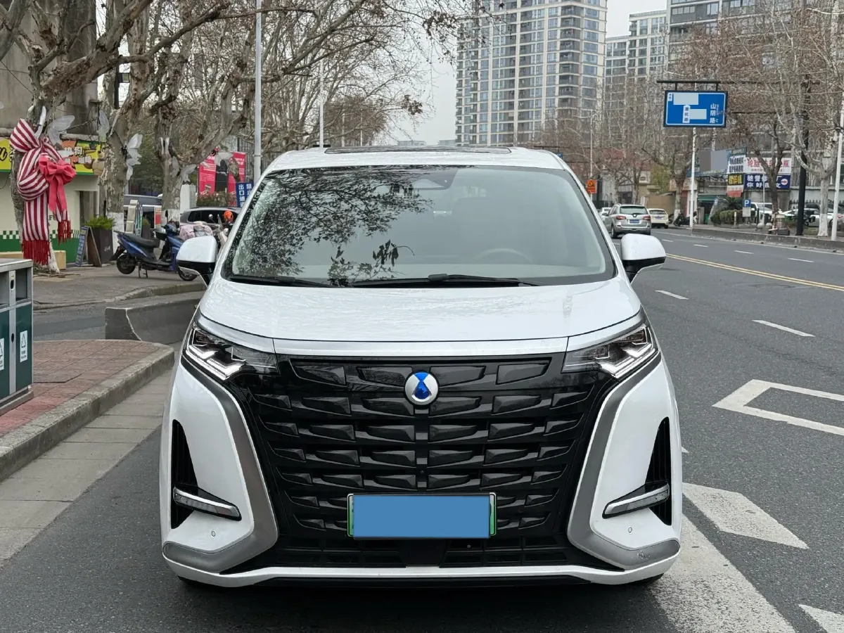 2024 Denza D9 1.5T 139HP L4 E-CVT PHEV 20.39KWH,autocango,china used car exporter,china ev exporter,chinese used car exporter,chinese used ev exporter