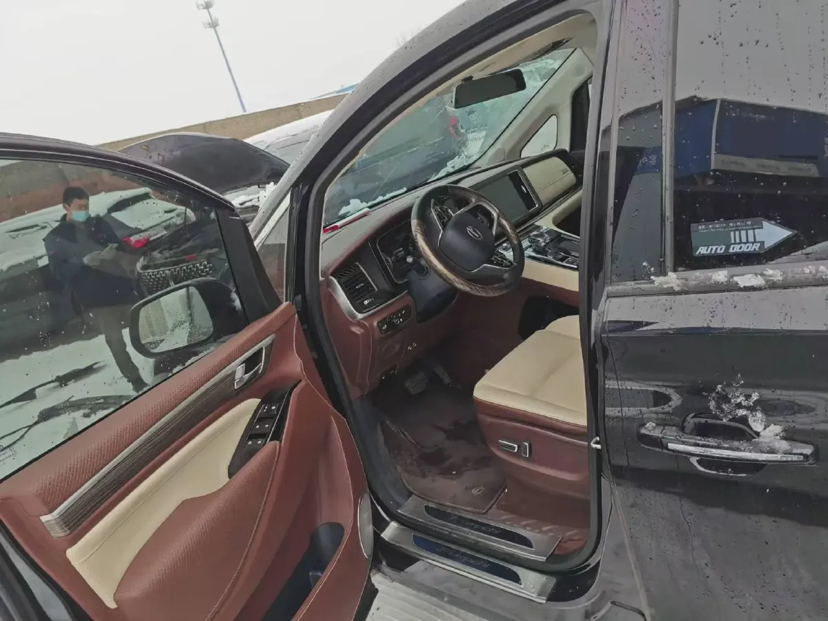 2021 GAC Trumpchi M8 2.0T 252HP L4 8AT,autocango,china used car exporter,china ev exporter,chinese used car exporter,chinese used ev exporter