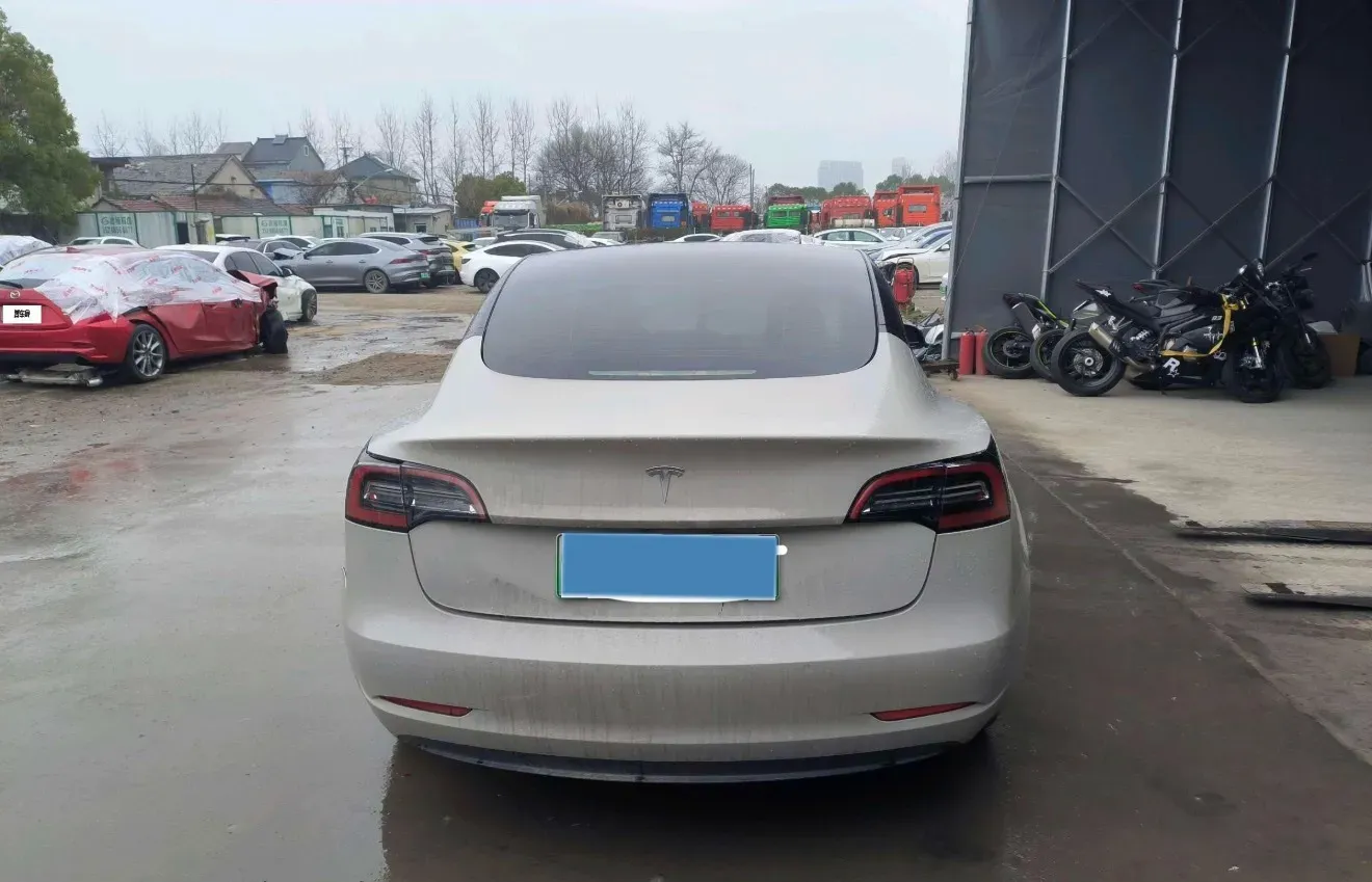 2021 Tesla Model 3 BEV 55KWH,autocango,china used car exporter,china ev exporter,chinese used car exporter,chinese used ev exporter