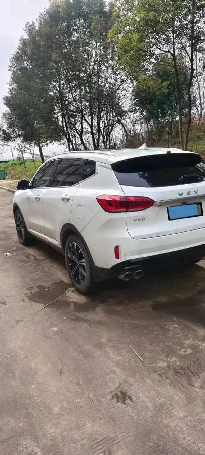 2021 WEY VV6 2.0T 227HP L4 7DCT,autocango,china used car exporter,china ev exporter,chinese used car exporter,chinese used ev exporter