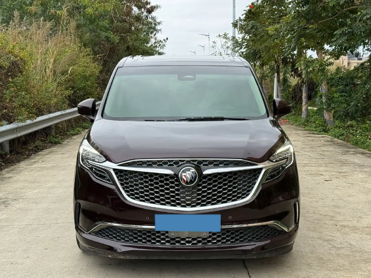 2020 Buick GL8 2.0T 237HP L4 9AT,autocango,china used car exporter,china ev exporter,chinese used car exporter,chinese used ev exporter