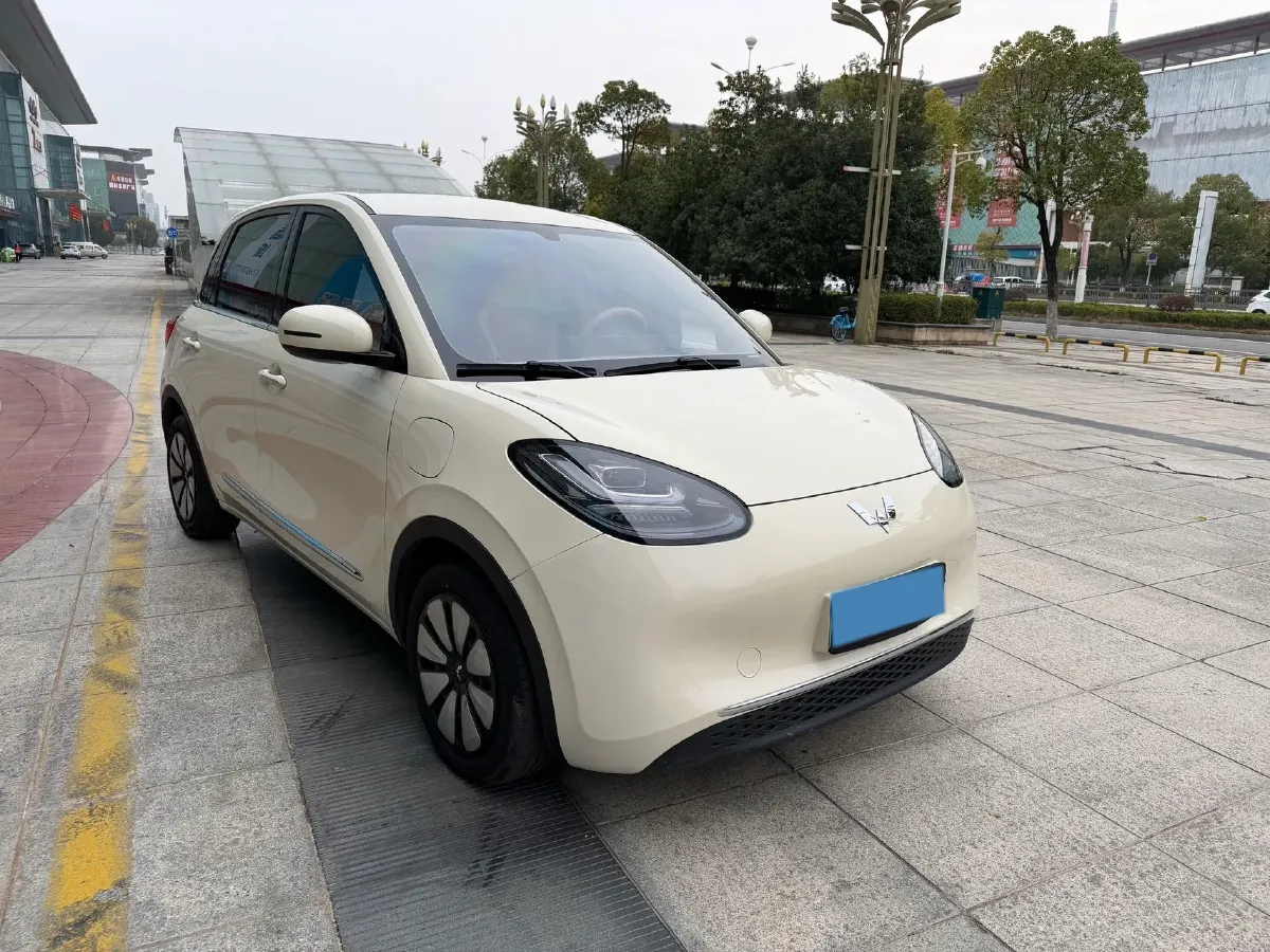 2025 WuLing BinGuo BEV,autocango,china used car exporter,china ev exporter,chinese used car exporter,chinese used ev exporter