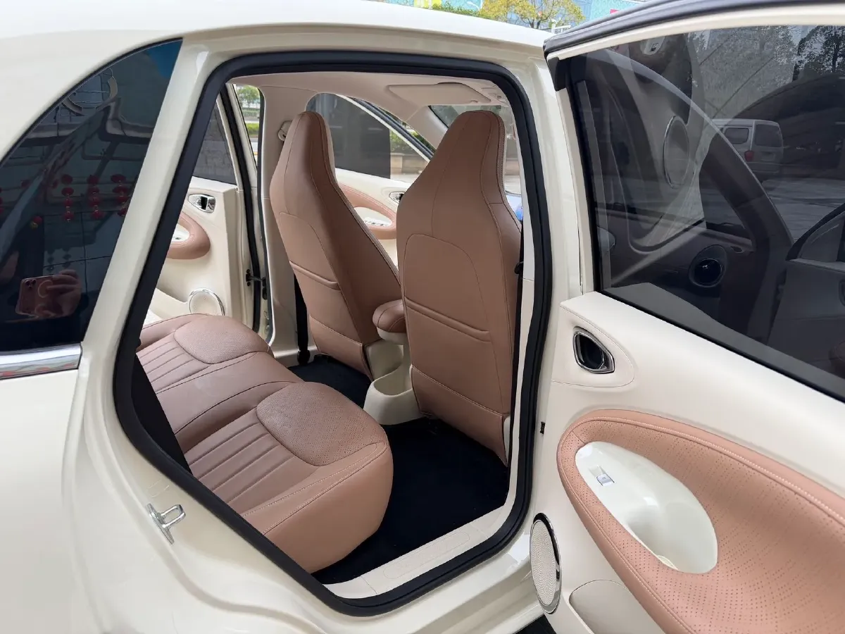 2025 WuLing BinGuo BEV,autocango,china used car exporter,china ev exporter,chinese used car exporter,chinese used ev exporter