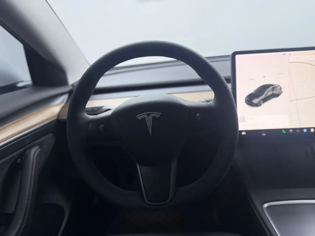 2021 Tesla Model 3 BEV 55KWH,autocango,china used car exporter,china ev exporter,chinese used car exporter,chinese used ev exporter