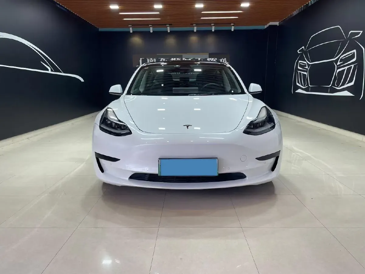2021 Tesla Model 3 BEV 55KWH,autocango,china used car exporter,china ev exporter,chinese used car exporter,chinese used ev exporter