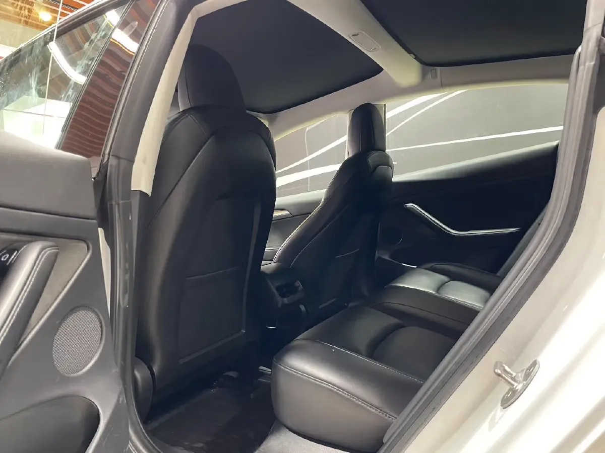 2021 Tesla Model 3 BEV 55KWH,autocango,china used car exporter,china ev exporter,chinese used car exporter,chinese used ev exporter