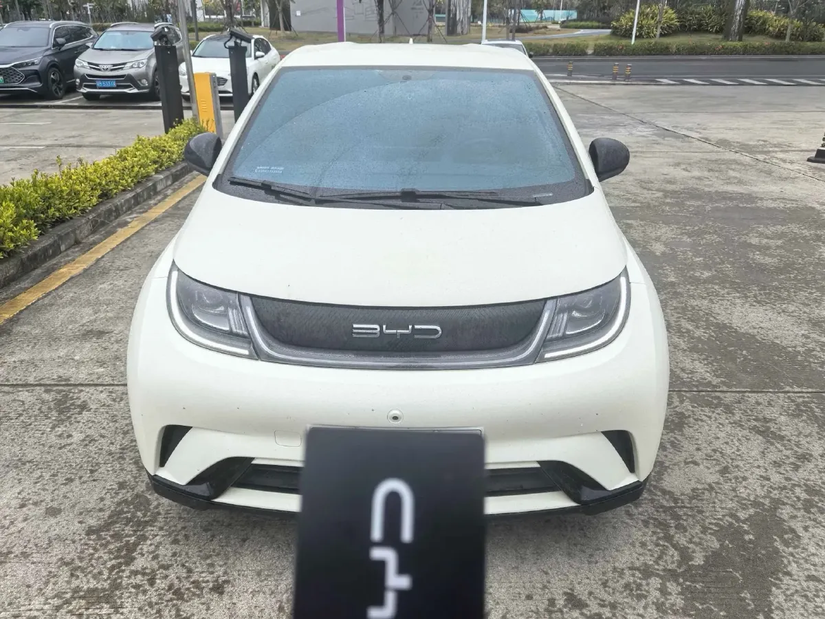 2023 BYD Dolphin BEV 44.928KWH,autocango,china used car exporter,china ev exporter,chinese used car exporter,chinese used ev exporter