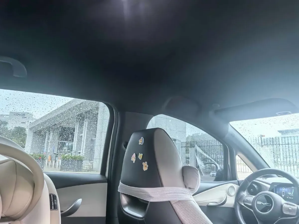 2023 BYD Dolphin BEV 44.928KWH,autocango,china used car exporter,china ev exporter,chinese used car exporter,chinese used ev exporter