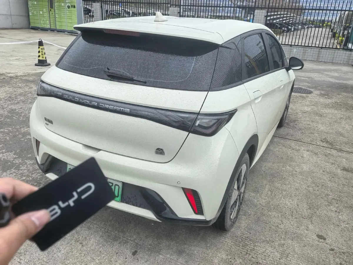 2023 BYD Dolphin BEV 44.928KWH,autocango,china used car exporter,china ev exporter,chinese used car exporter,chinese used ev exporter