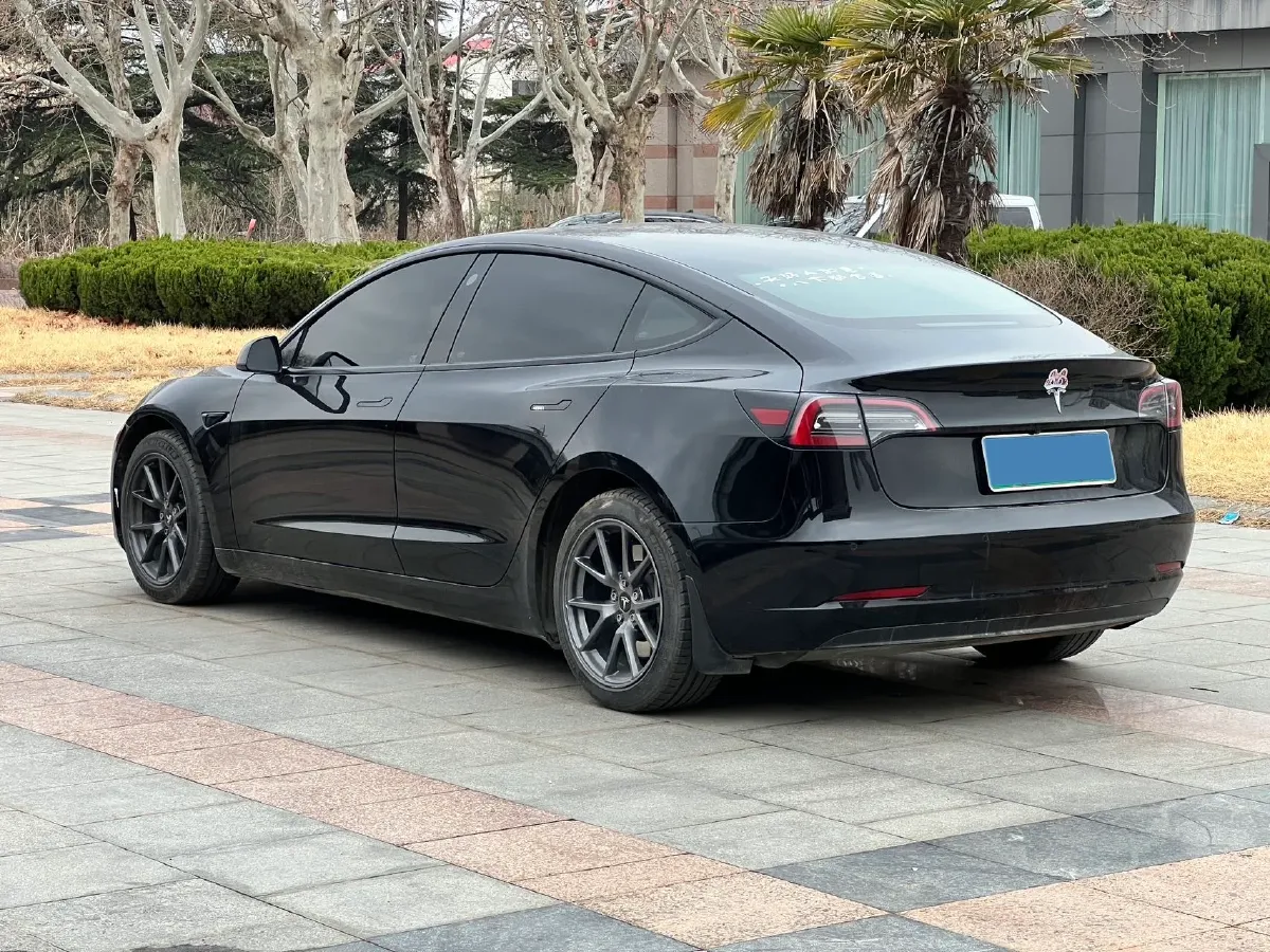 2021 Tesla Model 3 BEV 55KWH,autocango,china used car exporter,china ev exporter,chinese used car exporter,chinese used ev exporter