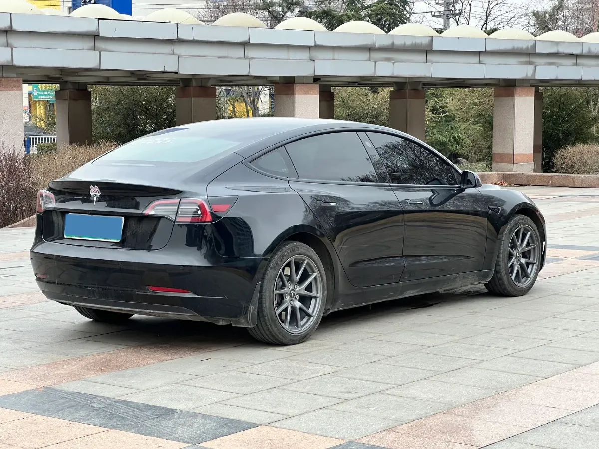 2021 Tesla Model 3 BEV 55KWH,autocango,china used car exporter,china ev exporter,chinese used car exporter,chinese used ev exporter