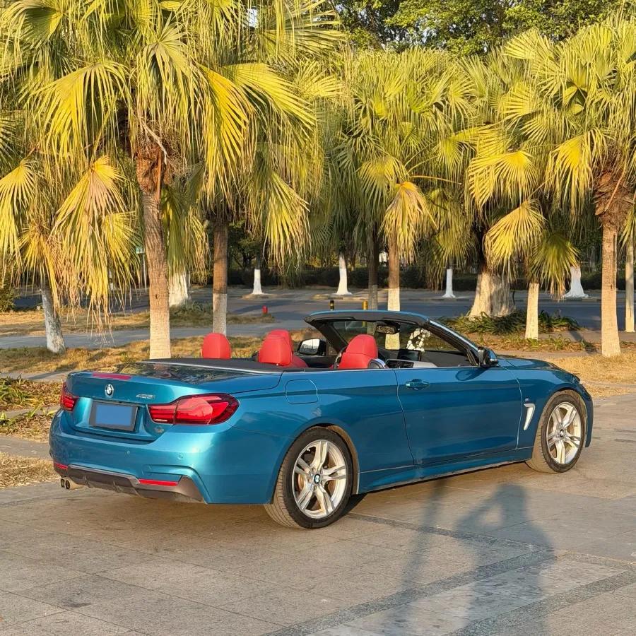 2019 BMW 4 Series 2.0T 184HP L4 8AT,autocango,china used car exporter,china ev exporter,chinese used car exporter,chinese used ev exporter