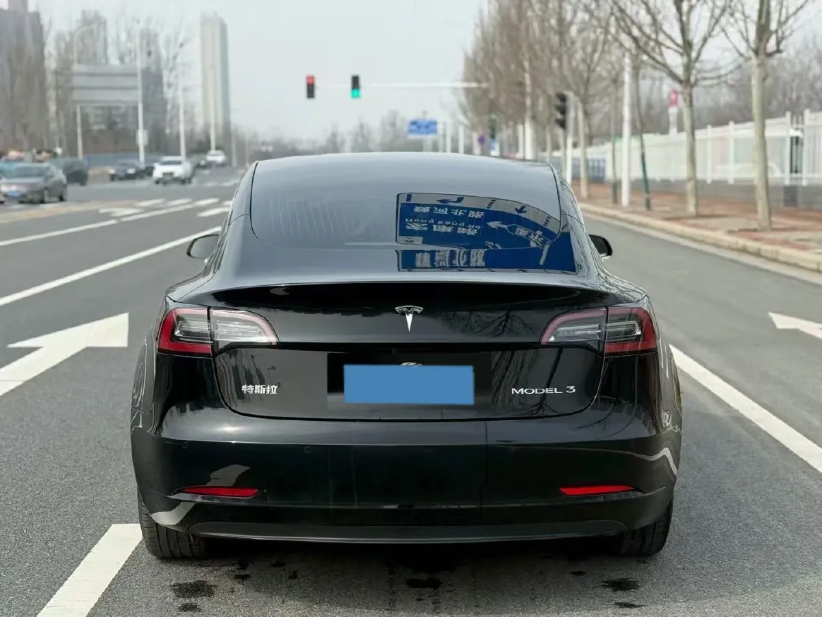 2020 Tesla Model 3 BEV 55KWH,autocango,china used car exporter,china ev exporter,chinese used car exporter,chinese used ev exporter