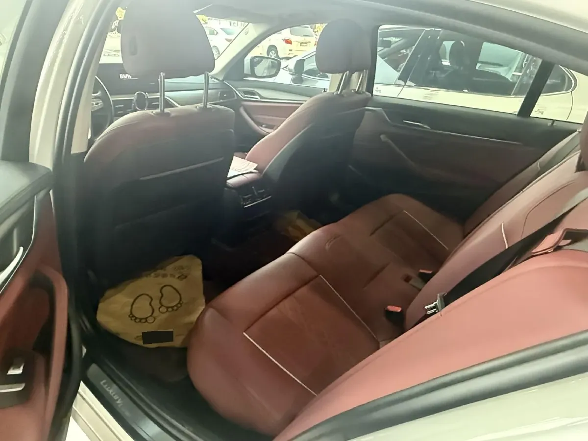 2021 BMW 5 Series 2.0T 252HP L4 8AT,autocango,china used car exporter,china ev exporter,chinese used car exporter,chinese used ev exporter