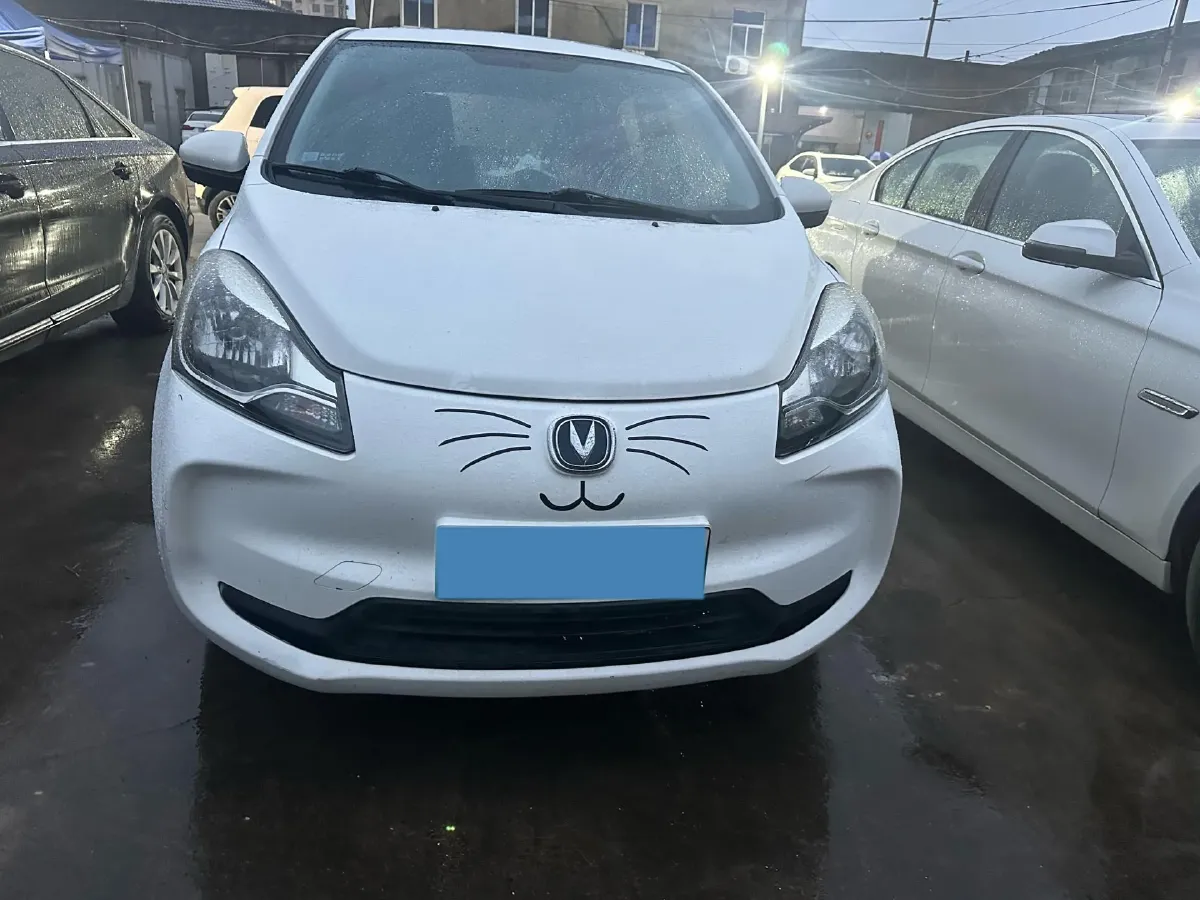2021 ChangAn BenBen E-Star BEV 32.2KWH,autocango,china used car exporter,china ev exporter,chinese used car exporter,chinese used ev exporter