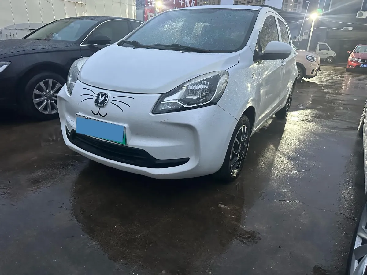 2021 ChangAn BenBen E-Star BEV 32.2KWH,autocango,china used car exporter,china ev exporter,chinese used car exporter,chinese used ev exporter