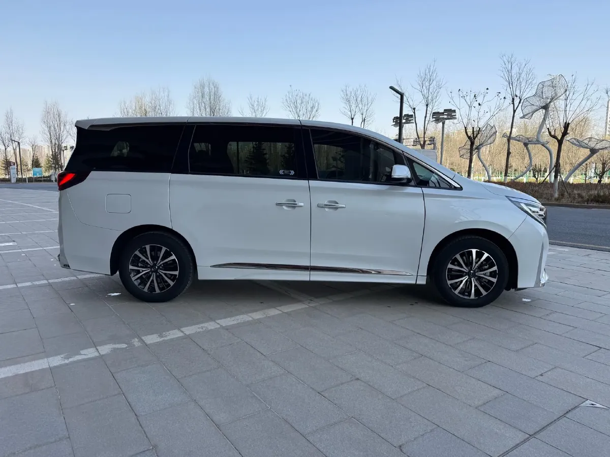 2023 GAC Trumpchi M8 2.0T 252HP L4 8AT,autocango,china used car exporter,china ev exporter,chinese used car exporter,chinese used ev exporter