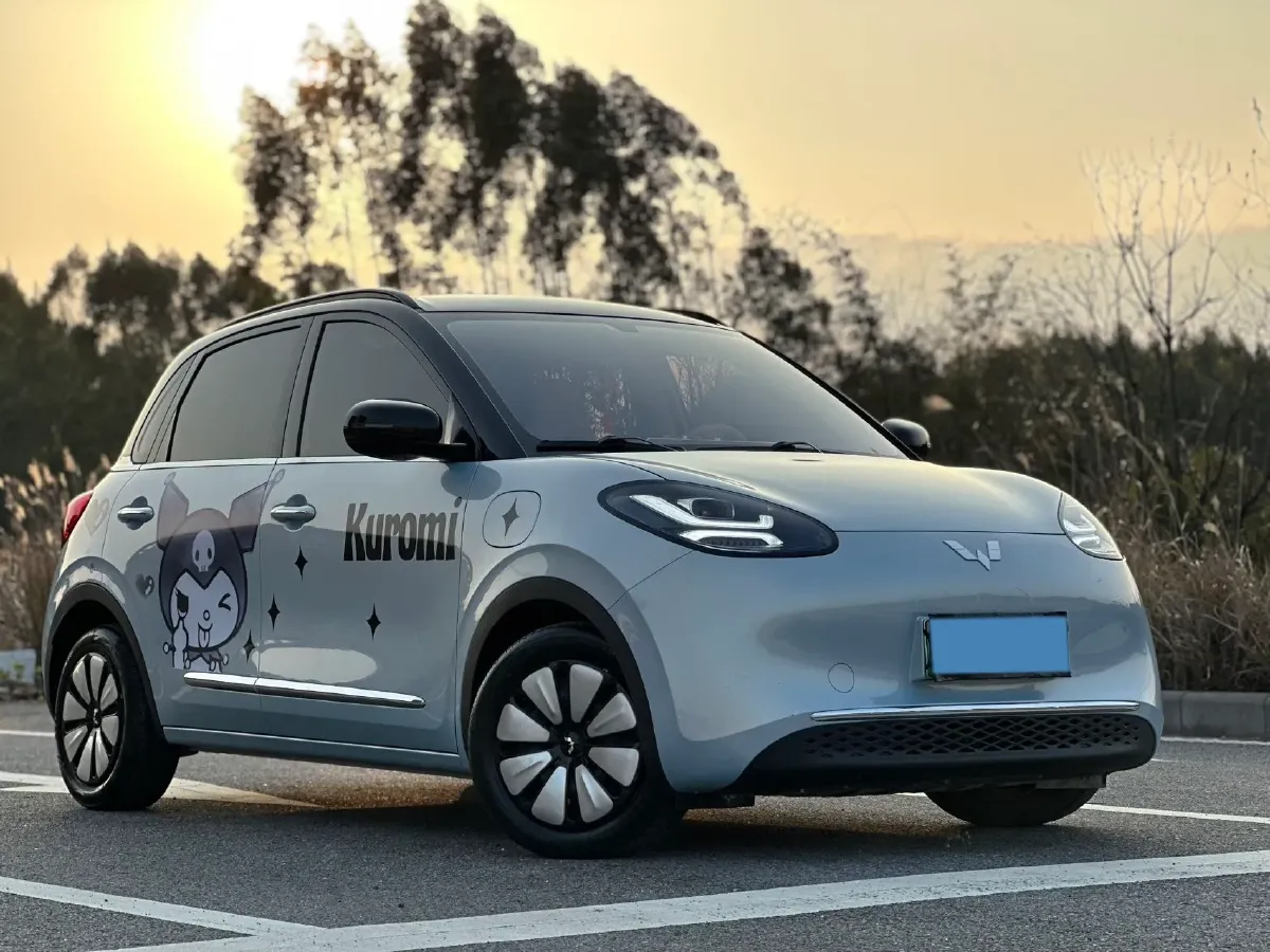 2025 WuLing BinGuo BEV,autocango,china used car exporter,china ev exporter,chinese used car exporter,chinese used ev exporter