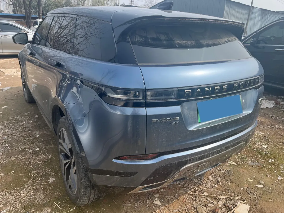 2022 Denza D9 1.5T 139HP L4 E-CVT PHEV 40.06KWH,autocango,china used car exporter,china ev exporter,chinese used car exporter,chinese used ev exporter