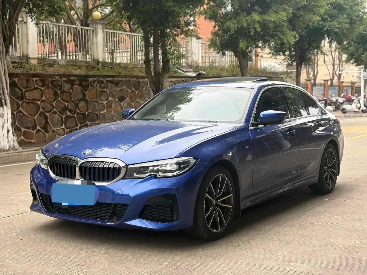 2020 BMW 3 Series 2.0T 184HP L4 8AT,autocango,china used car exporter,china ev exporter,chinese used car exporter,chinese used ev exporter