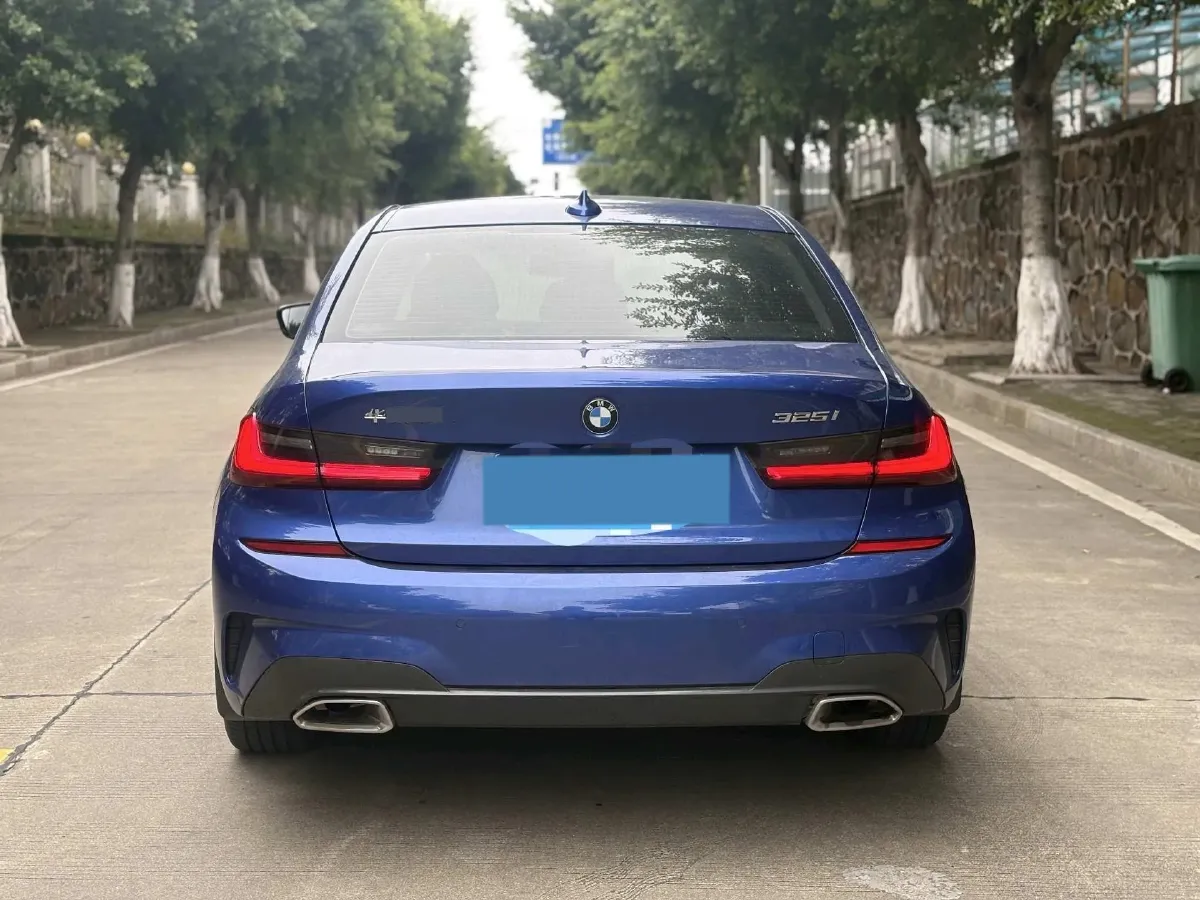 2020 BMW 3 Series 2.0T 184HP L4 8AT,autocango,china used car exporter,china ev exporter,chinese used car exporter,chinese used ev exporter
