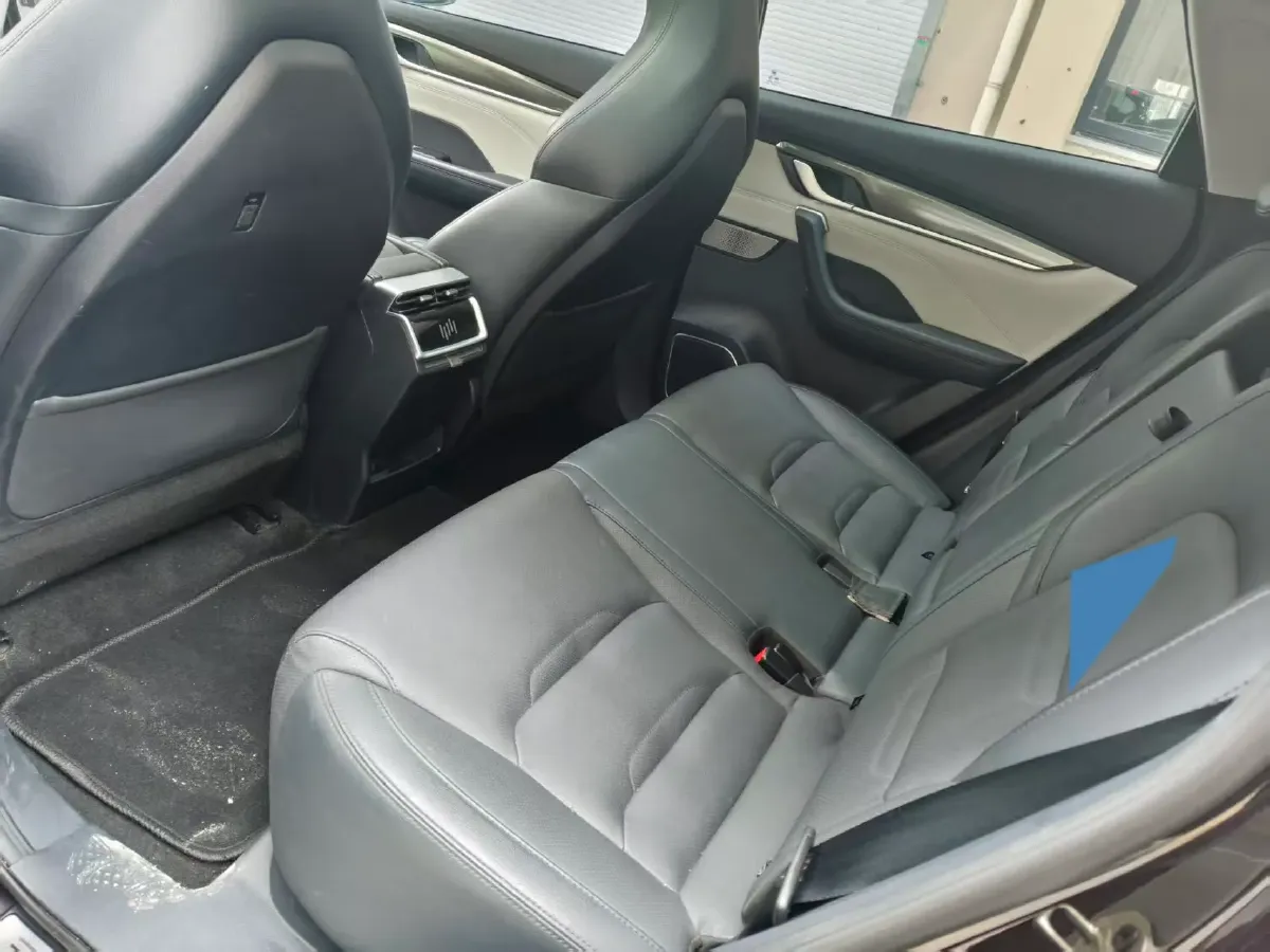 2020 Weltmeister EX5 BEV 52.56KWH,autocango,china used car exporter,china ev exporter,chinese used car exporter,chinese used ev exporter