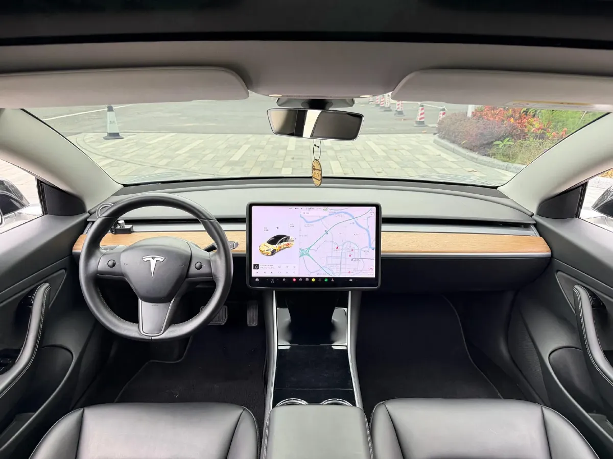 2020 Tesla Model 3 BEV 52KWH,autocango,china used car exporter,china ev exporter,chinese used car exporter,chinese used ev exporter